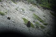 168 - Maligne Canyon, Medicine Lake, Maligne Lake - IMG_1246